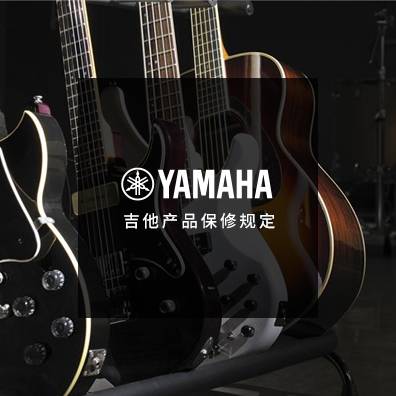 吉他、贝斯和音箱